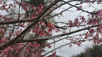 ​真正命好的女人，有这“三座”靠山