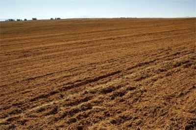 ​明日十月初十，农谚“成不成，就看十月初十”，有啥预兆？