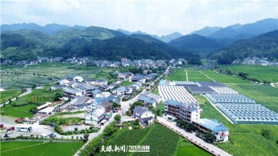 ​播州区花茂村：“一抹乡愁”成就“美丽经济”