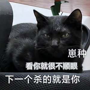 ​老人说，“黑猫不要养”，这到底是为什么？