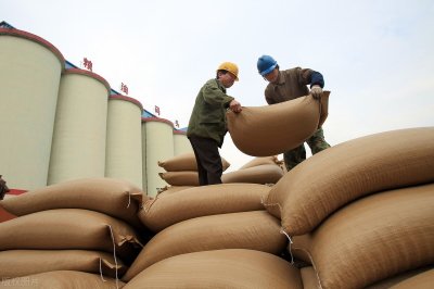 ​想开粮油店不知道这个进货渠道！那你就完了