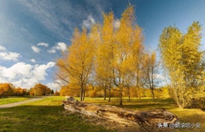 ​泰戈尔飞鸟集里的惊艳诗词是怎么来的？意象下的诗歌是现实的写照