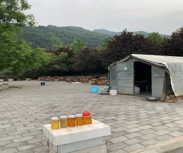 ​能充分利用农村资源的三个养殖项目，低成本，年收入达五六万