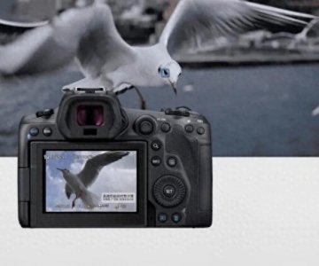 ​二手数码相机回收，5大靠谱的渠道推荐，和报价单大全