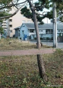 ​37张错觉照片：没有PS胜似PS，每一张都挑战你的视觉