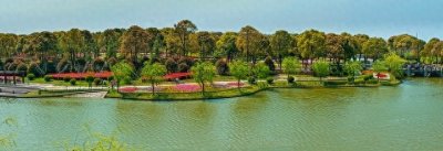 ​上海顾村公园