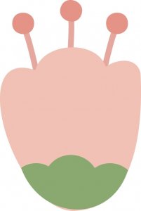 ​国际罕见病日