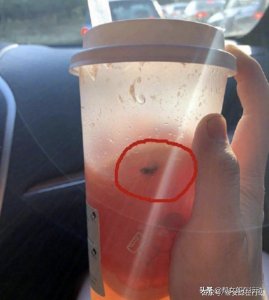 ​查封！苏州一喜茶门店被指“喝出苍蝇”，操作台有很多飞虫