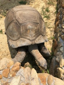 ​河南话里最常说的“信球”