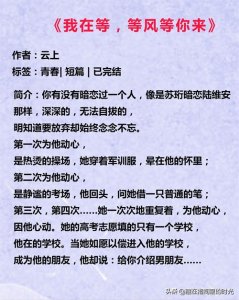 ​四本短篇言情文：《我在等，等风等你来》，终于等到你很戳泪点