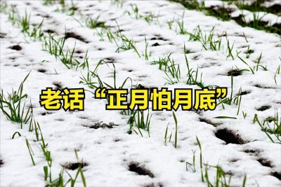 ​老话“正月怕月底”，今年有啥征兆？答案来了