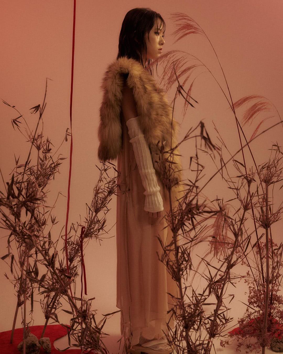 项婕如个人资料写真作品