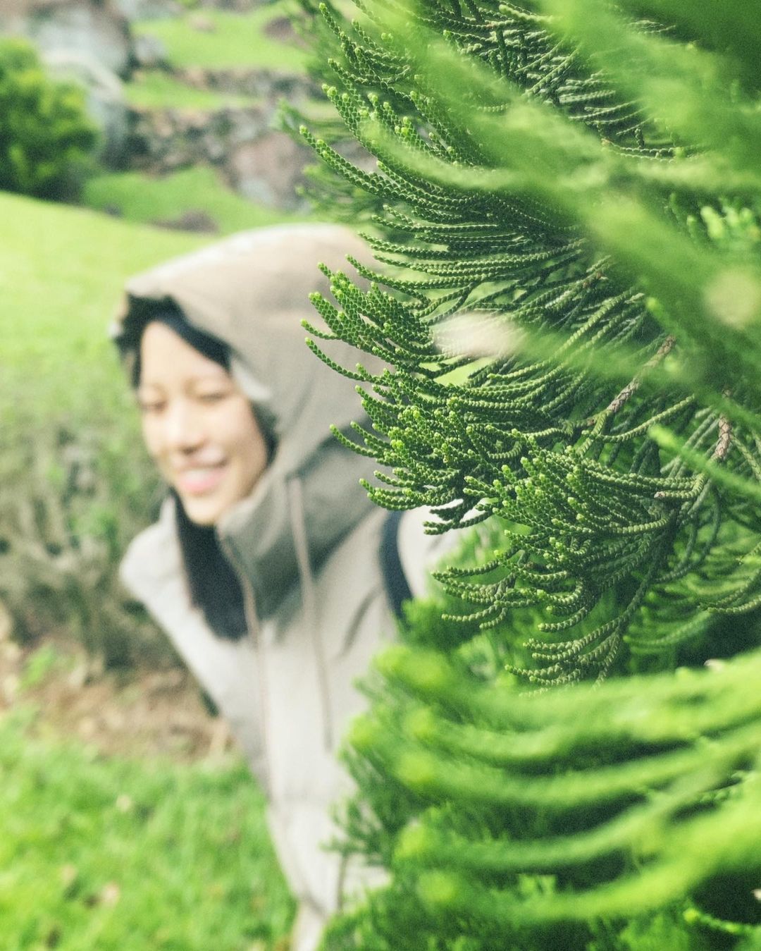 项婕如个人资料写真作品