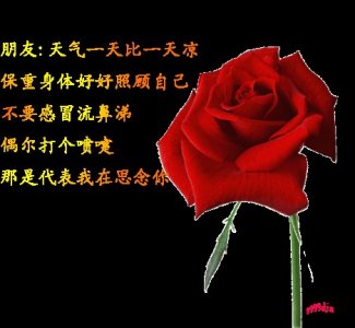 ​最新中老年人群聊表情包大全，赶紧收藏吧