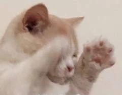 明星代言的广告有哪些(明星代言哪种广告最好) 明星 广告 第1张