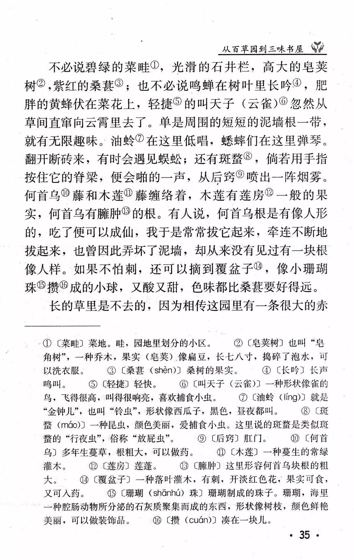 《从百草园到三味书屋》（鲁迅）丨那些年，我们一起读过的课文