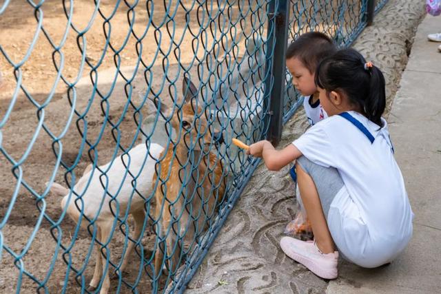 济南亲子户外游玩地方（休闲遛娃好去处）(3)