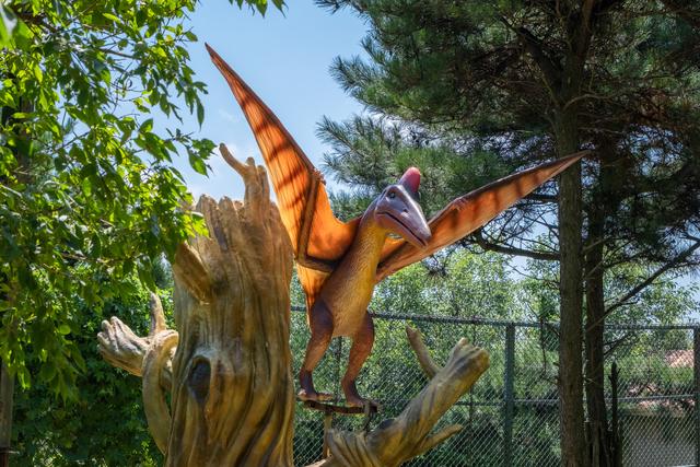 济南亲子户外游玩地方（休闲遛娃好去处）(6)