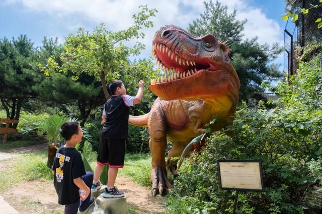 济南亲子户外游玩地方（休闲遛娃好去处）(7)