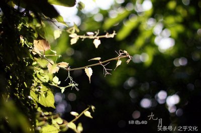 ​农历九月是什么月？