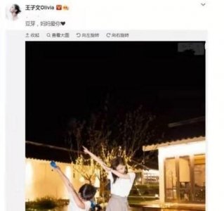 ​王子文出生(王子文几婚)