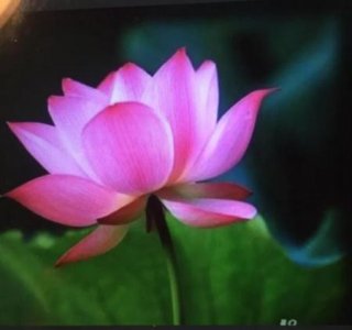 ​为什么男人得到后就不会太在乎你了(为什么男人得到了就不珍惜了)