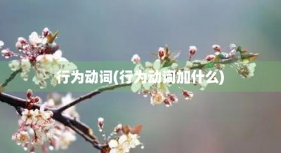​行为动词(行为动词加什么)