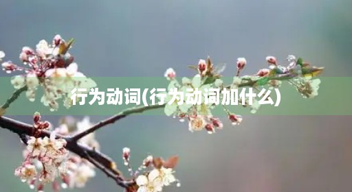 行为动词(行为动词加什么) 行为动词(行为动词加什么)