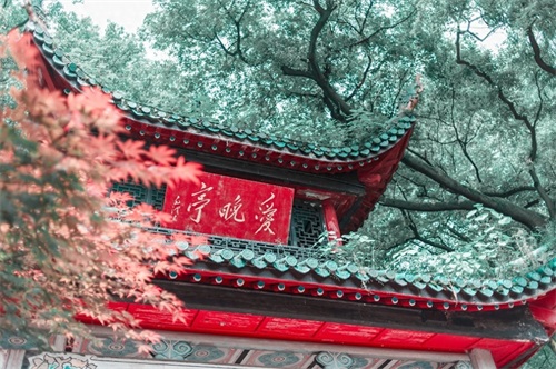 爱晚亭位于湖南省长沙市岳麓山下清风峡，并称中国四大名亭