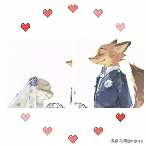 ​情头| 来磕疯狂动物城的这对CP