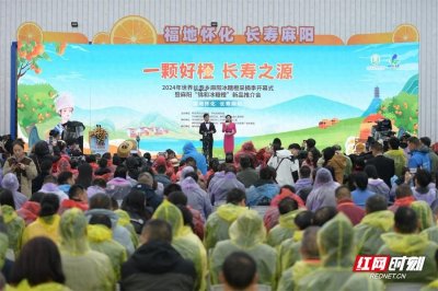 ​2024麻阳冰糖橙“橙王”揭晓，刚领奖就收到企业订单