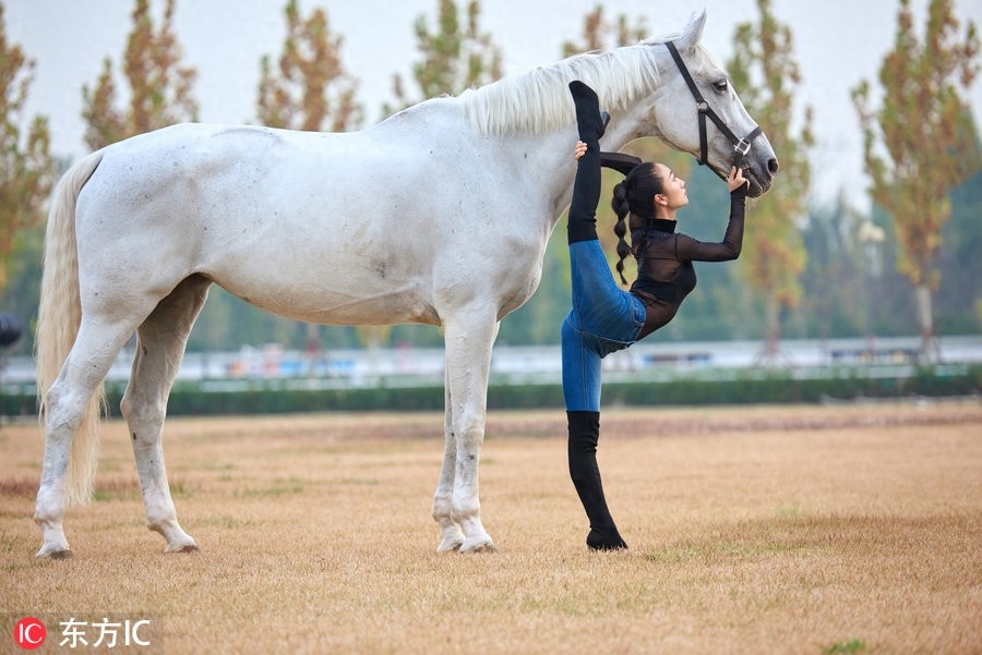 长得好看就算了，柔韧性也那么强！中国柔术女王刘藤马背秀劈叉