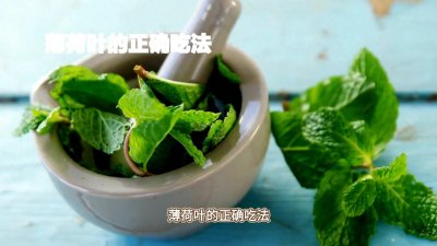 ​薄荷叶，清新味蕾的浪漫邂逅