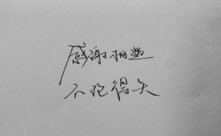 感恩所有遇见的话语 暖心 简短