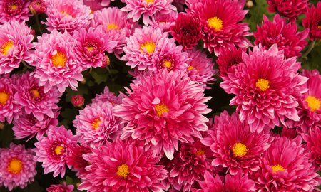 感恩遇见的话语 暖心 简短,感恩所有遇见的话语 暖心 简短图2