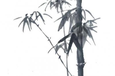 ​宁可食无肉不可居无竹是什么意思?古人为何偏爱竹子?