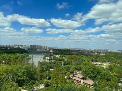 ​上海野生动物园，魔都遛娃好去处