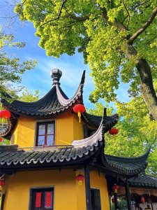 ​苏州必打卡的景点寒山寺看看你去过吗？