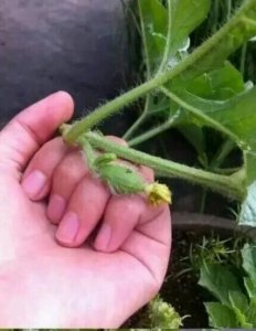 ​25张好玩的“神级”图片，看完以后你笑了吗？