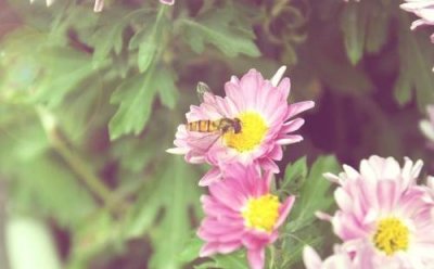 ​属牛的最忌讳几点出生 属虎的最忌讳几点出生