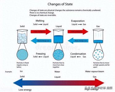 ​电化学氮循环：原理、应用与前景