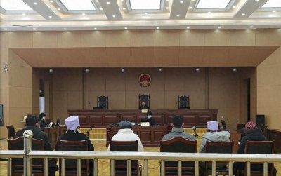 ​甘肃六人摘“发菜”获刑，发菜是啥？为何成为一级重点保护植物？