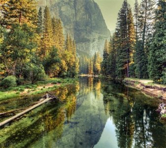 ​说说己亥日柱的女命