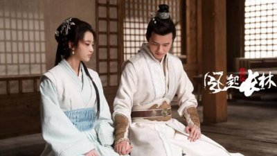 ​风起长林结局