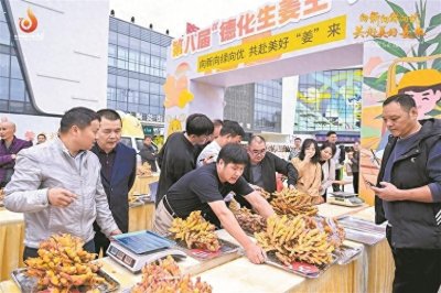 ​德化：打响生姜农特产业品牌！西南六镇抱团 共赴美好“姜”来