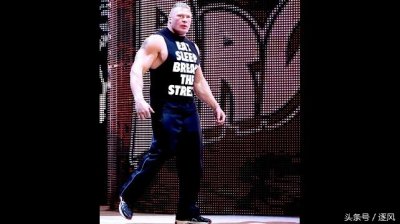 ​只有他在WWE和UFC之间自由转换——布洛克·莱斯纳