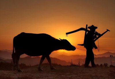 ​一个不回你微信的人，大多是这些心理，别再去打扰