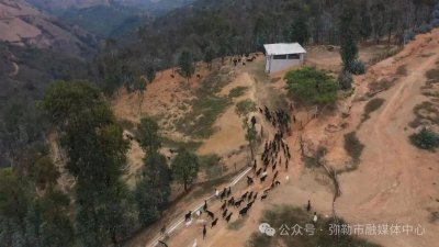 ​弥勒的他，骑着越野摩托放羊！年收入20万