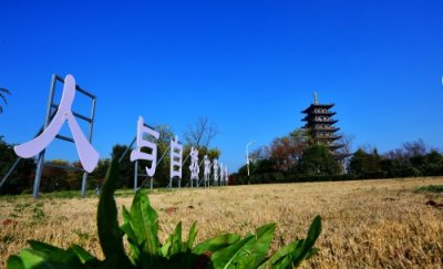 ​南乐县：向“美”而行 全力推动城乡环境焕新颜