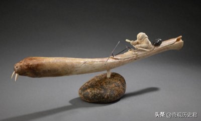 ​雄性动物生殖器进化太离谱！螺旋式、带刺的，鲨鱼竟然还有两根？